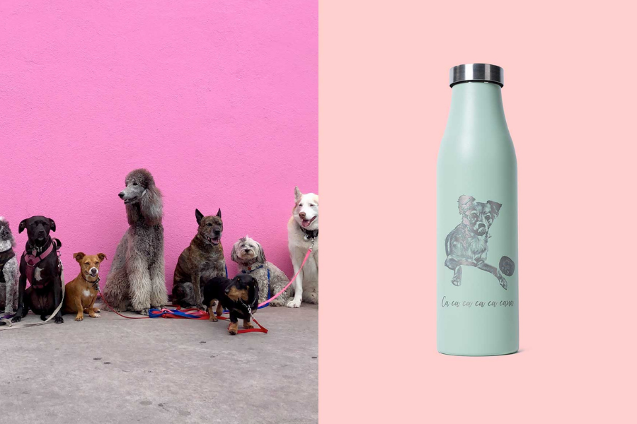 Calgary Humane Society | LAMOSE