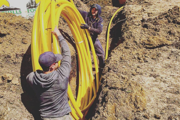 Quenching the Thirst for Quality: Ritz Mechanical Services Ltd. & LAMOSE