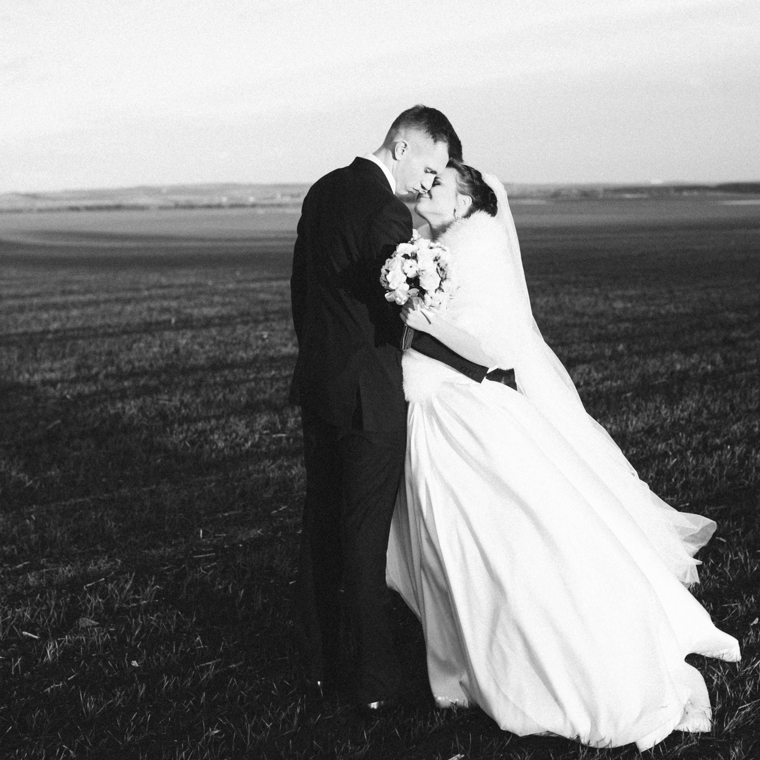 Celebrating Love and Furry Companionship