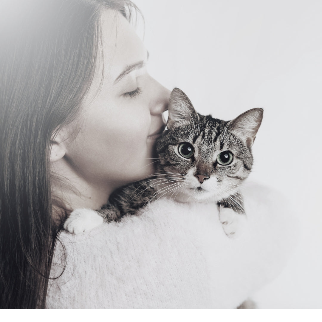 Paw-sitivity at Christmas: Emily's Heartwarming Gift