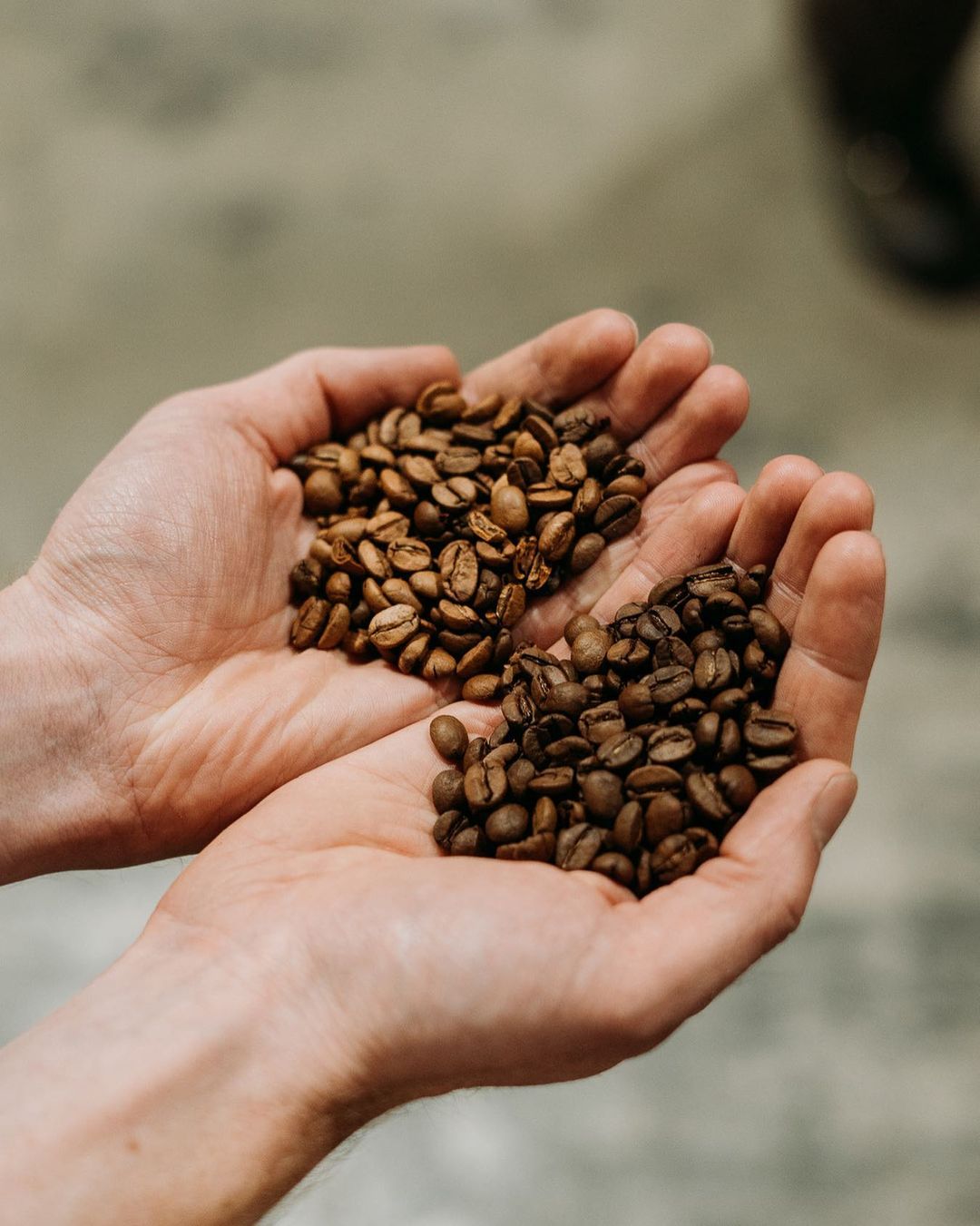 Part 2 - Canadian Coffee Quest: Hunting Down the Best Roasters!