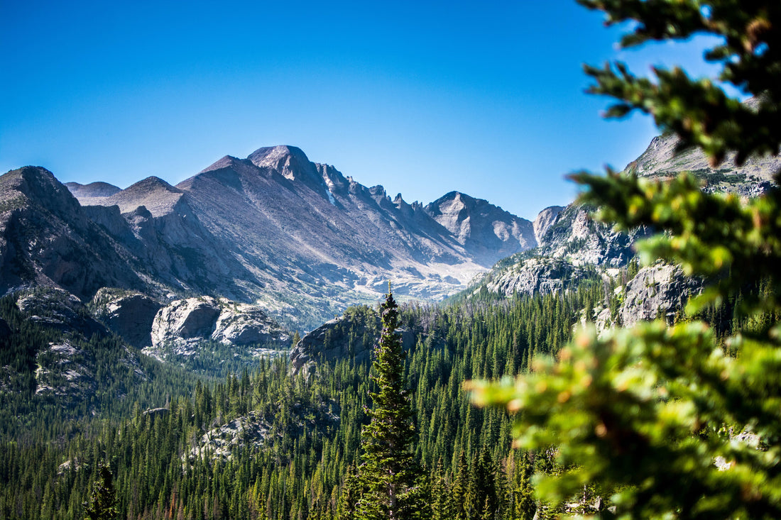 Lake, Mountain, Sea, Part 2