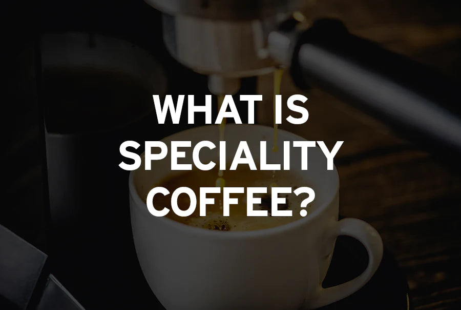A Beginner's Guide to Specialty Coffee: What Sets It Apart?