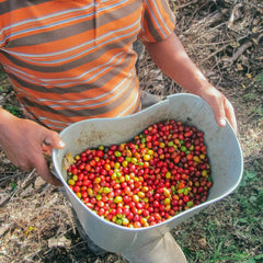 Decaf